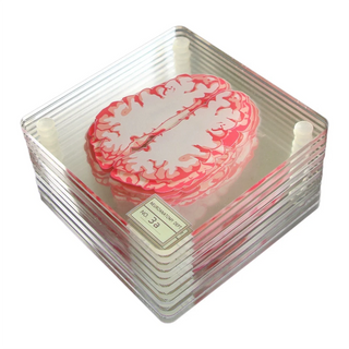 Brain Specimen Coasters home decor Set 3D Organ Brain Halloween Artwork Brain Slices Square Acrylic Drinks Table Coaster