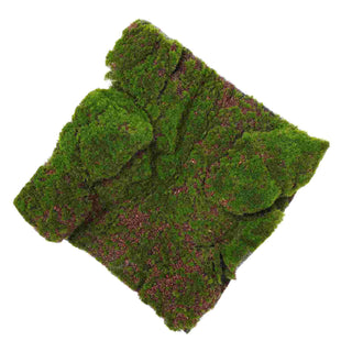 Moss Artificial Simulated Lawn Rug Fake Garden Grass Wall Decor Carpets Plastic Panel Landscaping Decorative Prop