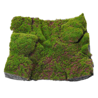 Moss Artificial Simulated Lawn Rug Fake Garden Grass Wall Decor Carpets Plastic Panel Landscaping Decorative Prop