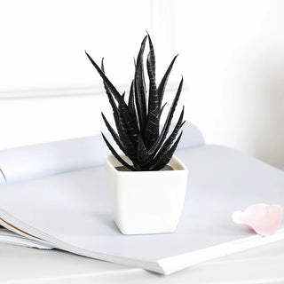 6PCS Black Artificial Succulent Small Potted Plant, Home, Office, Windowsill, Desktop, Holiday Party Decoration