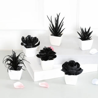 6PCS Black Artificial Succulent Small Potted Plant, Home, Office, Windowsill, Desktop, Holiday Party Decoration